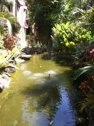 Img_0038_thumb