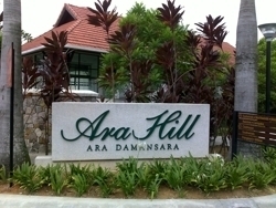 Ara_hill_2_thumb_thumb