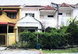 Banang_height_2_thumb