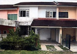Banang_height_4_thumb