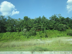 Kajang_022_thumb