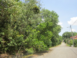 Kajang_020_thumb