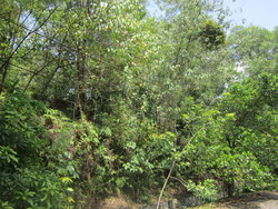 Kajang_021_thumb