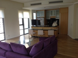 Photo_1_thumb
