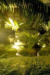 Phoca_thumb_l__r1c2241_thumb