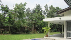 Img_0602_thumb