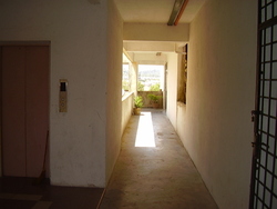 P4261614_thumb