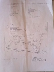 Sg_lallang-lot_885-1_thumb