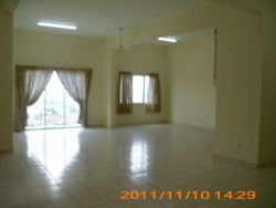 Dsci3524_thumb