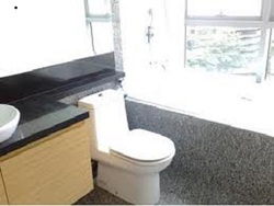 Toilet_thumb