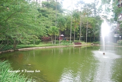 Mont_kiara_palma__27__thumb