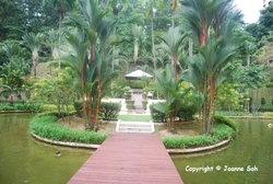 Mont_kiara_palma__34__thumb