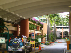 Mont_kiara_palma__4__thumb