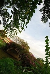 Botanic_central_park2_thumb