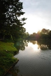 Botanic_central_park_thumb