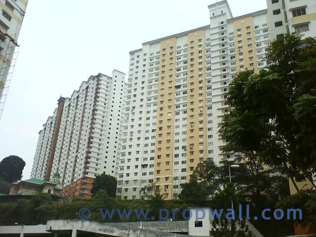 Flora_damansara_view
