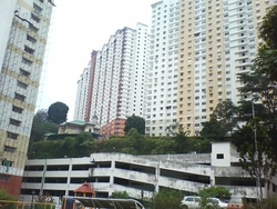 Flora_damansara__3__thumb