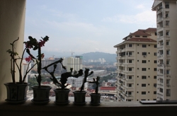 Unit_balcony_view_thumb