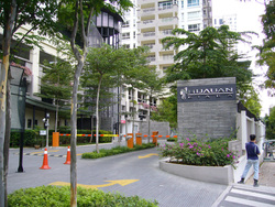 Hijauan_kiara__1__thumb