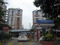 Img_8110_thumb