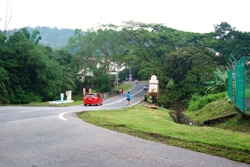 Taman_tar__13__thumb