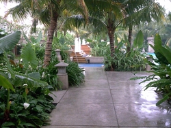 Image001_thumb