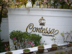 Contessa__3__thumb