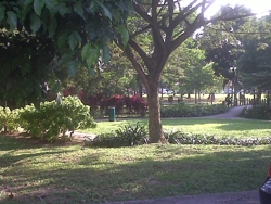 Bdr_botanic_26_jln_kiara_13-6ks_view_from_unit_thumb