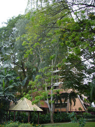 Desa_kudalari__3__thumb
