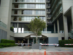 Park_seven_thumb
