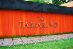 Tamarind_sentul__22__thumb