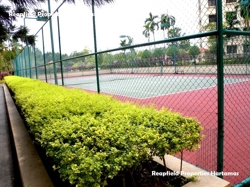 Tennis_thumb