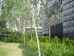 The_binjai_on_the_park__9__thumb