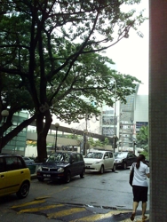 Dsc00836_thumb