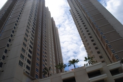 Dsc_0090_thumb