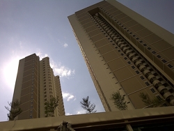 Img-20110325-00231_thumb