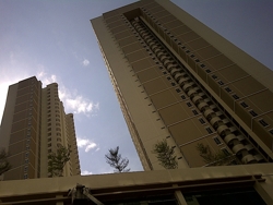 Img-20110325-00232_thumb