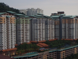 P2072941_thumb