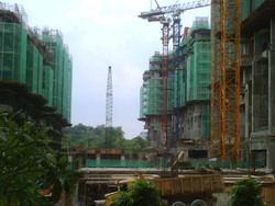Img00006-20090809-1515_thumb