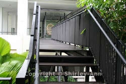 Hijauan_kiara__25__thumb