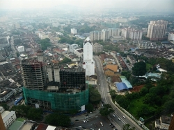 Taragon_puteri_kl__3__thumb