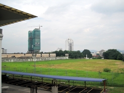 Taragon_puteri_kl__6__thumb