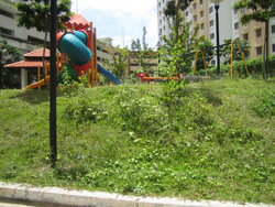 Flora_damansara__10__thumb