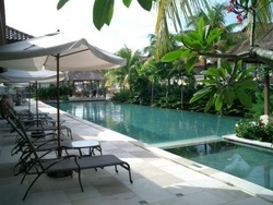 Duta_tropika__7__thumb