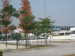Img_0461_thumb