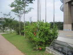 Img_1456_thumb