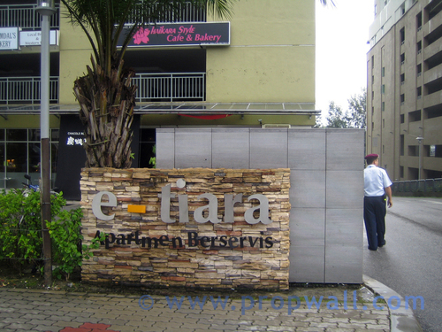 Click to enlarge photo. E-tiara__2__small_view