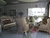 Mei_on_the_madge__32__tiny_thumb