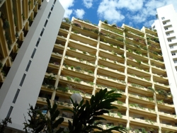 The_reef_thumb