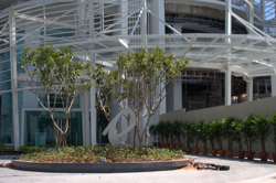 Gurney_paragon11_thumb